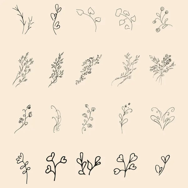 Doodle Απλή Διανυσματική Συλλογή Από Χειροποίητα Floral Στοιχεία Μεγάλη Συλλογή — Διανυσματικό Αρχείο