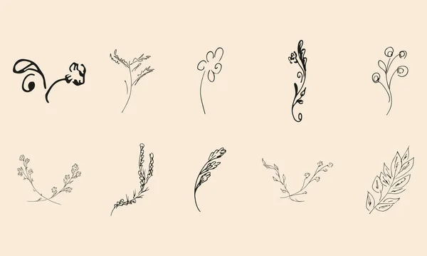 Doodle Einfache Vektorsammlung Von Handgezeichneten Floralen Elementen Große Sammlung Von — Stockvektor