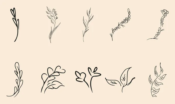 Doodle Eenvoudige Vector Collectie Van Met Hand Getrokken Bloemenelementen Grote — Stockvector