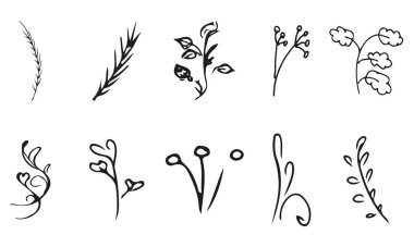 Elle çizilmiş 10 çiçek elementinin basit vektör koleksiyonunu karala. Elle çizilmiş 10 daldan oluşan büyük bir koleksiyon. Büyük bir çiçek botanik seti. Beyaz arkaplanda izole.