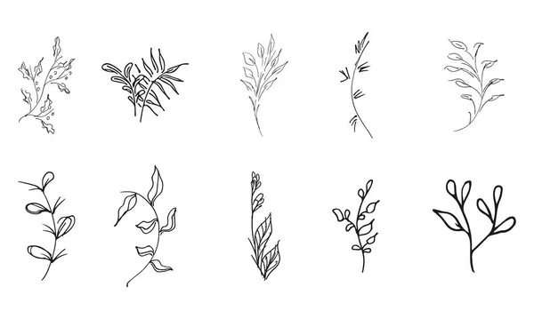 Doodle Eenvoudige Vector Collectie Van Met Hand Getrokken Bloemenelementen Grote — Stockvector