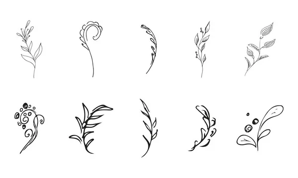 10手描きの花の要素のシンプルなベクトルコレクションを落書きします 10の手描きの枝の大きなコレクション 大きな花の植物セット 白地に隔離された — ストックベクタ