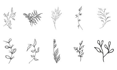 Elle çizilmiş 10 çiçek elementinin basit vektör koleksiyonunu karala. Elle çizilmiş 10 daldan oluşan büyük bir koleksiyon. Büyük bir çiçek botanik seti. Beyaz arkaplanda izole