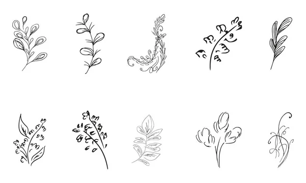 10手描きの花の要素のシンプルなベクトルコレクションを落書きします 10の手描きの枝の大きなコレクション 大きな花の植物セット 白地に隔離された — ストックベクタ