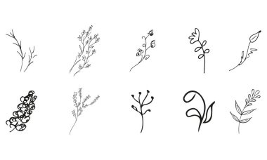 Elle çizilmiş 10 çiçek elementinin basit vektör koleksiyonunu karala. Elle çizilmiş 10 daldan oluşan büyük bir koleksiyon. Büyük bir çiçek botanik seti. Beyaz arkaplanda izole