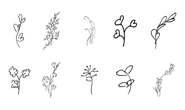 Doodle Coleção Vetorial Simples Elementos Florais Desenhados Mão Grande Coleção — Vetor de Stock