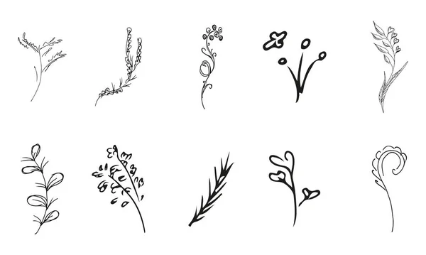 Doodle Einfache Vektorsammlung Von Handgezeichneten Floralen Elementen Große Sammlung Von — Stockvektor