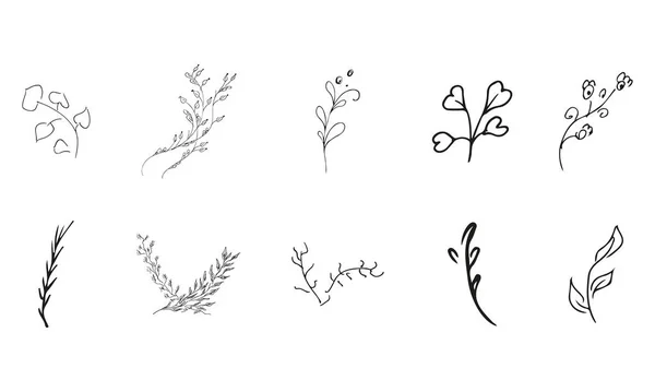 Doodle Einfache Vektorsammlung Von Handgezeichneten Floralen Elementen Große Sammlung Von — Stockvektor
