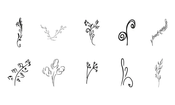 Jednoduchá Vektorová Sbírka Ručně Kreslených Květinových Prvků Velká Sbírka Ručně — Stockový vektor