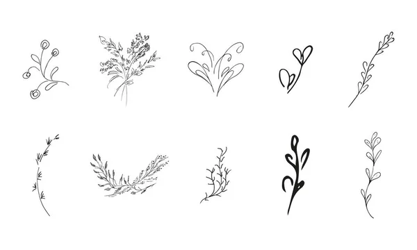 Doodle Simple Collection Vectorielle Éléments Floraux Dessinés Main Grande Collection — Image vectorielle