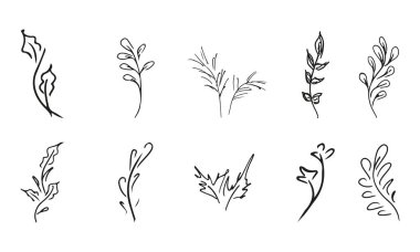 Elle çizilmiş 10 çiçek elementinin basit vektör koleksiyonunu karala. Elle çizilmiş 10 daldan oluşan büyük bir koleksiyon. Büyük bir çiçek botanik seti. Beyaz arkaplanda izole