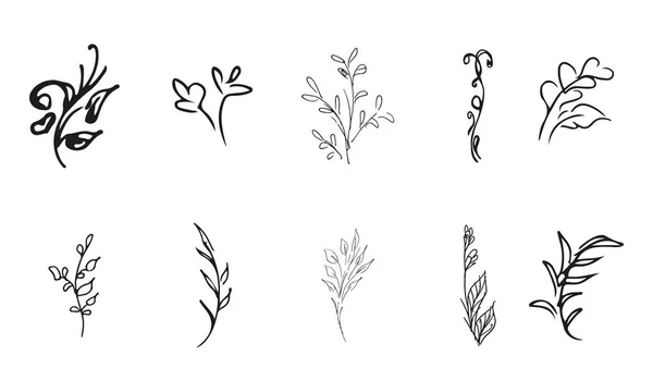 Doodle Eenvoudige Vector Collectie Van Met Hand Getrokken Bloemenelementen Grote — Stockvector