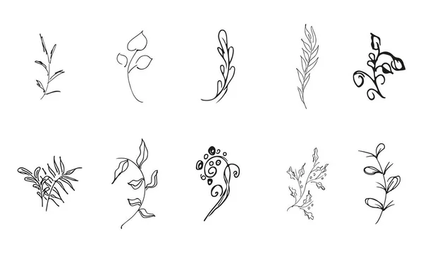 Doodle Simple Colección Vectorial Elementos Florales Dibujados Mano Gran Colección — Vector de stock