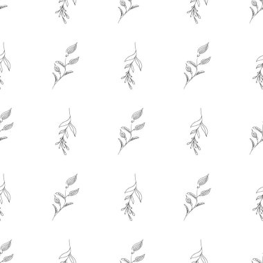 Elle çizilmiş yaprak desenli basit vektör çizimi. Elle çizilmiş dalların kusursuz deseni. Büyük bir çiçek botanik seti. Beyaz arkaplanda izole