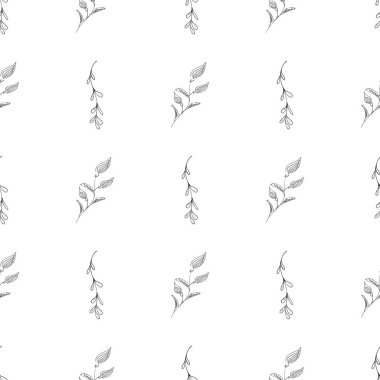 Elle çizilmiş yaprak desenli basit vektör çizimi. Elle çizilmiş dalların kusursuz deseni. Büyük bir çiçek botanik seti. Beyaz arkaplanda izole
