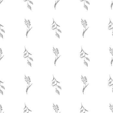 Elle çizilmiş yaprak desenli basit vektör çizimi. Elle çizilmiş dalların kusursuz deseni. Büyük bir çiçek botanik seti. Beyaz arkaplanda izole