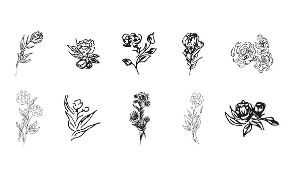Doodle Einfache Vektorsammlung Von Handgezeichneten Rosen Große Sammlung Von Handgezeichneten — Stockvektor