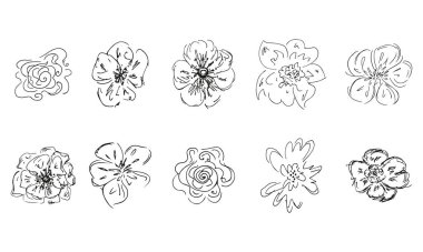 Elle çizilmiş 10 kır çiçeği. Elle çizilmiş 10 gülden oluşan büyük bir koleksiyon. Büyük bir çiçek botanik seti. Beyaz arka planda izole edilmiş. Basit vektör koleksiyonunu karala