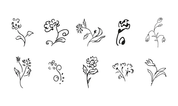 Flores Silvestres Dibujadas Mano Gran Colección Rosas Dibujadas Mano Gran — Vector de stock