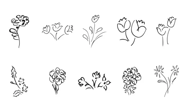 Ručně Kreslených Květů Divokých Květin Velká Sbírka Ručně Kreslených Růží — Stockový vektor