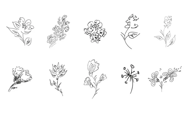 Flores Silvestres Dibujadas Mano Gran Colección Rosas Dibujadas Mano Gran — Vector de stock