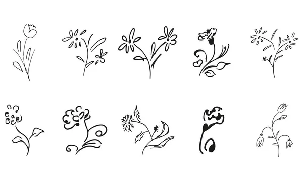 Hand Drawn Blossom Wildflowers Big Collection Hand Drawn Roses Big — Stock Vector