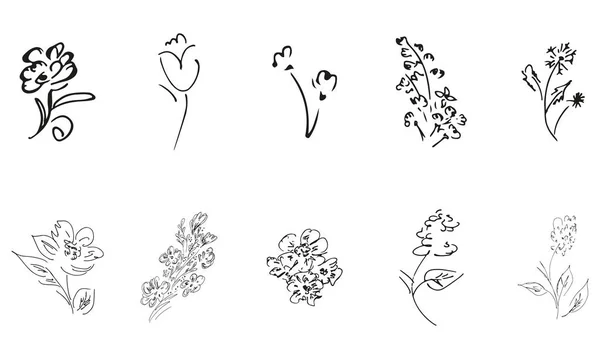 Handgezeichnete Blütenwildblumen Große Sammlung Von Handgezeichneten Rosen Große Florale Botanische — Stockvektor