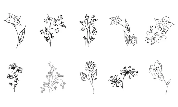 Flores Silvestres Dibujadas Mano Gran Colección Rosas Dibujadas Mano Gran — Vector de stock