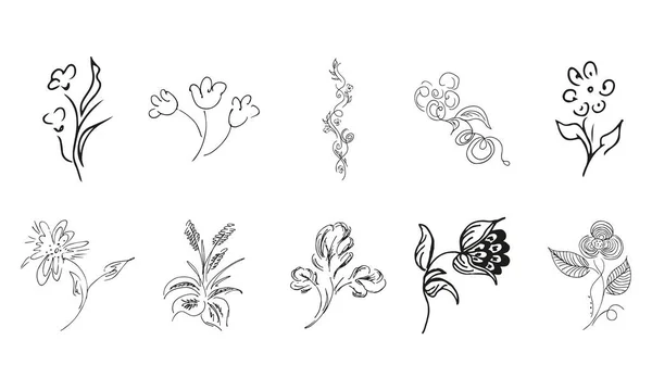 Flores Silvestres Dibujadas Mano Gran Colección Rosas Dibujadas Mano Gran — Vector de stock