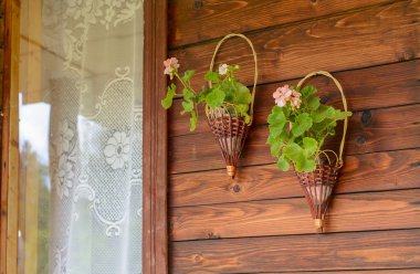 Saksı pencerenin yakınındaki