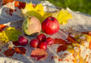 Meyveler ve sebzeler masada.
