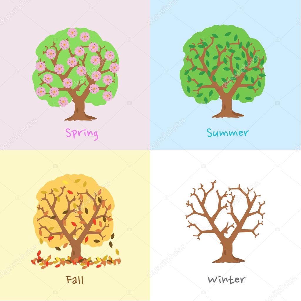 Pictures of a tree in four seasons