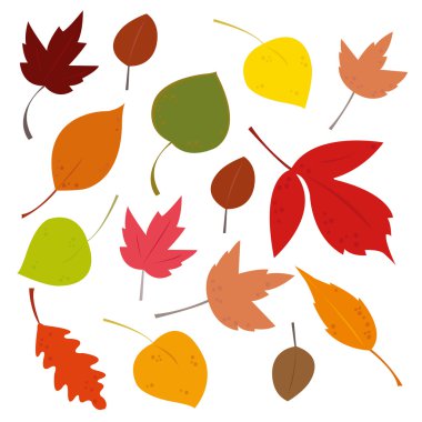 Düşen sonbahar yaprakları