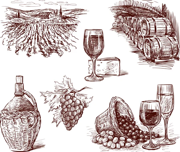 Pictures of grape wine — Wektor stockowy