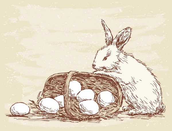 Kanin med korg — Stock vektor