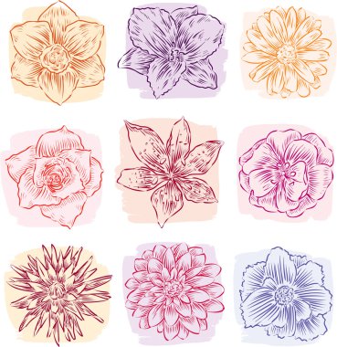 Bahçe çiçek çizimleri