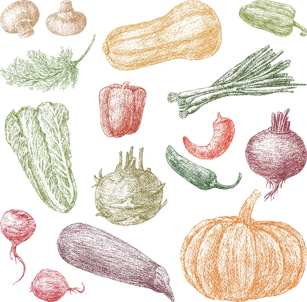 Conjunto de verduras — Vector de stock