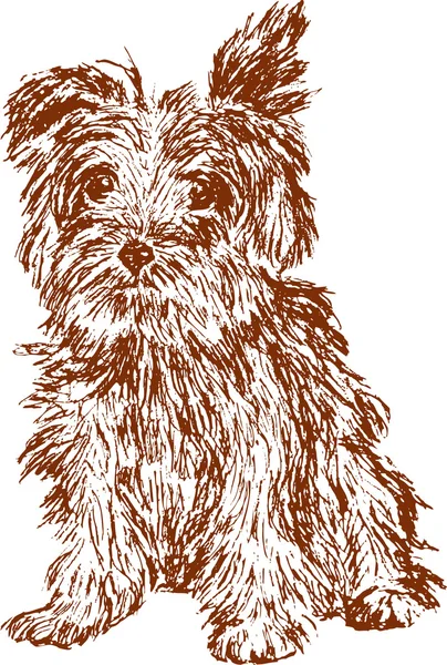 Náčrtek shaggy štěně — Stockový vektor