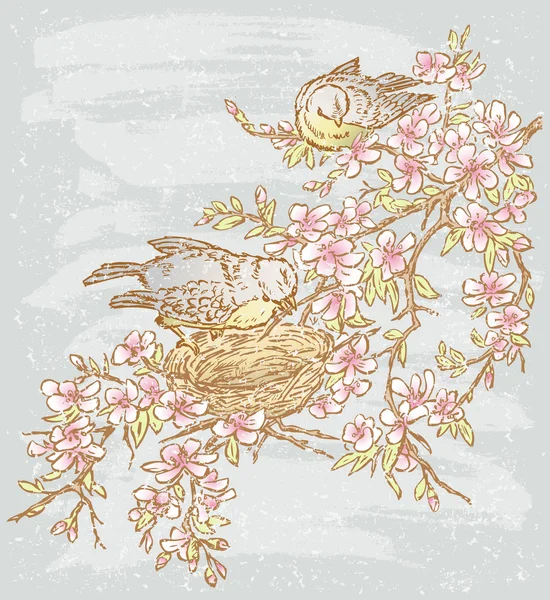 Pájaros en las ramas florecientes — Archivo Imágenes Vectoriales