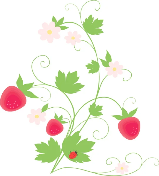 Δάσος ώριμες φράουλες — Διανυσματικό Αρχείο