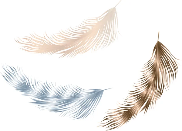 Tres plumas de aves — Vector de stock