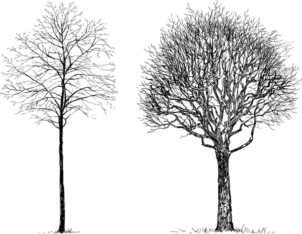 Эскизы деревьев — стоковый вектор