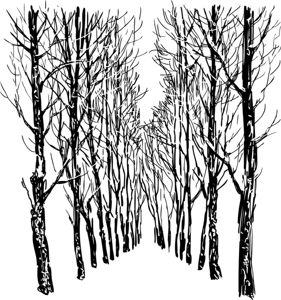 Arbres en hiver — Image vectorielle