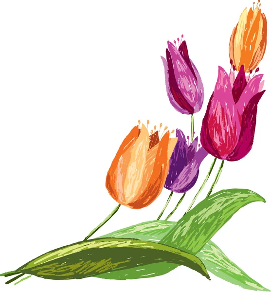 Bosquejo de tulipanes — Vector de stock