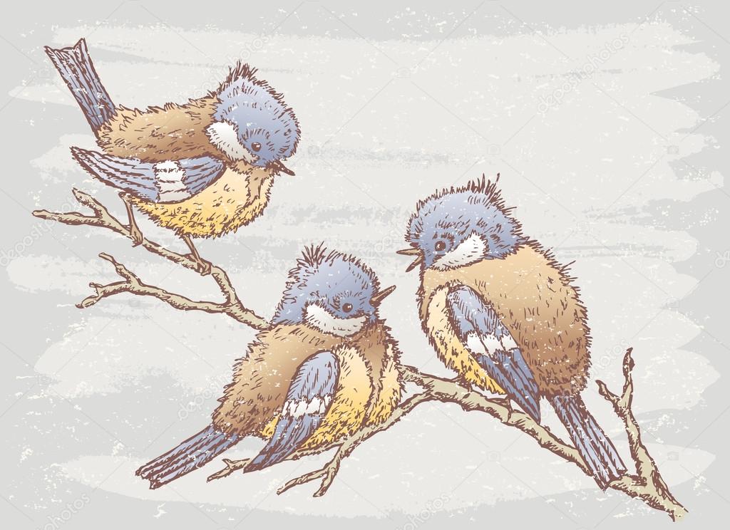 birds in the winter day