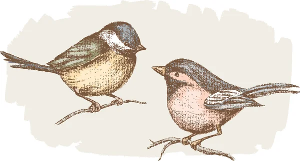 Dos pequeños pájaros. — Vector de stock
