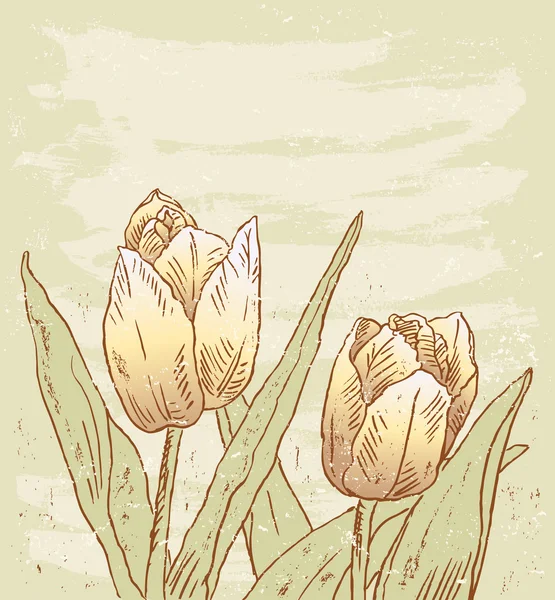 Biglietto di auguri con tulipani — Vettoriale Stock