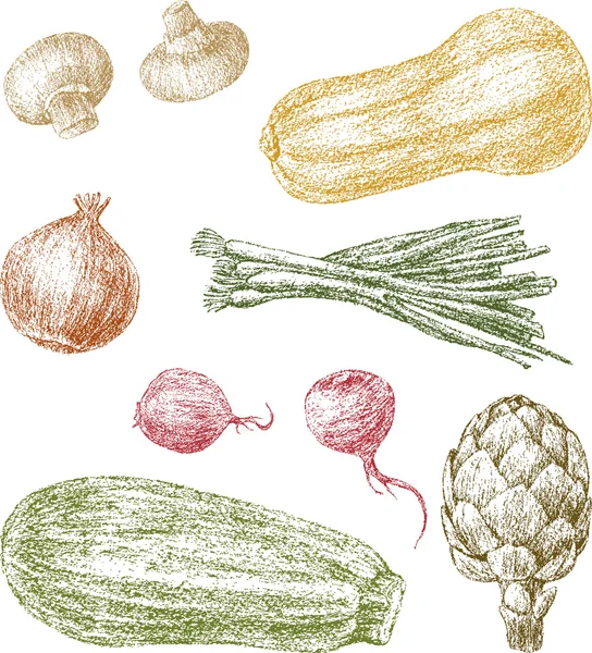 Diversos vegetales — Archivo Imágenes Vectoriales