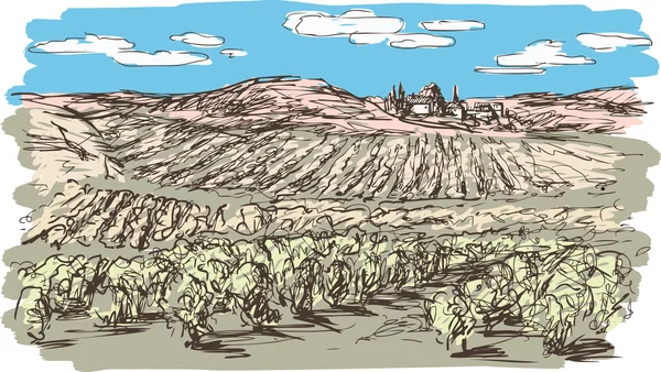 Эскиз ландшафта виноградника — стоковый вектор