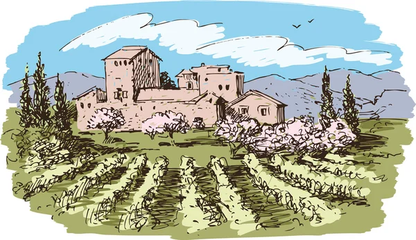 Vignes paysage croquis — Image vectorielle